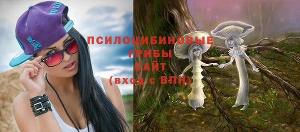 дурь Арсеньев