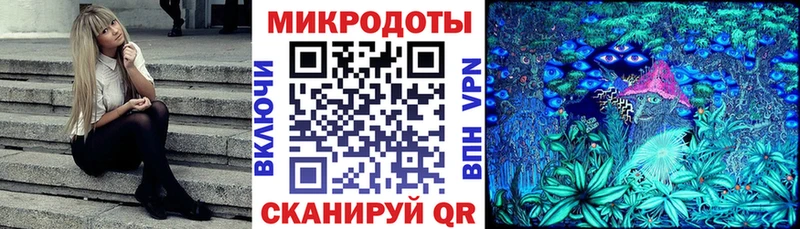 Галлюциногенные грибы Psilocybine cubensis Микунь